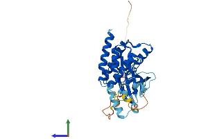 Protein Structure (PS) image for NIMA (Never in Mitosis Gene A)-Related Kinase 6 (NEK6) (AA 1-313) protein (His tag) (ABIN7554712)