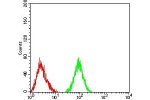 Flow cytometric analysis of HL-60 cells using CD177 mouse mAb (green) and negative control (red). (CD177 抗体  (AA 22-161))