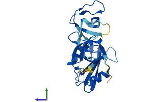 AlphaFold protein structure predicition of Mouse Recombinant Grb2 Protein, UniprotID Q60631