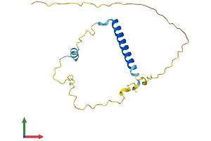 Protein Structure (PS) image for Transcription Elongation Factor A (SII)-Like 1 (TCEAL1) (AA 1-165) protein (His tag) (ABIN7560200)