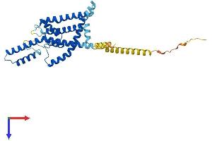 Protein Structure (PS) image for Potassium Channel Subfamily K Member 1 (KCNK1) (AA 1-336) protein (His tag) (ABIN7562173)