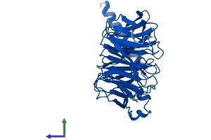AlphaFold protein structure predicition of Human Recombinant GNB3 Protein, UniprotID P16520
