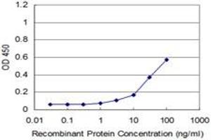 ELISA image for anti-Ras Homolog Gene Family, Member A (RHOA) (AA 1-193) antibody (ABIN559931)