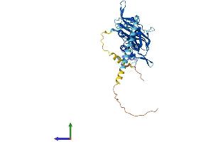 Protein Structure (PS) image for Potassium Inwardly-Rectifying Channel, Subfamily J, Member 8 (KCNJ8) (AA 1-424) protein (His tag) (ABIN7556827)