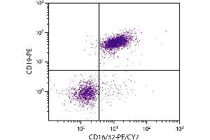 BALB/c mouse splenocytes were stained with Rat Anti-Mouse CD16/32-PE/CY7. (CD32/CD16 抗体  (PE-Cy7))