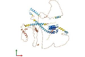 Protein Structure (PS) image for Nuclear Receptor Coactivator 5 (NCOA5) (AA 1-579) protein (His tag) (ABIN7560008)