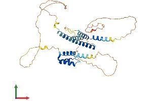 AlphaFold protein structure predicition of Mouse Recombinant Meis1 Protein, UniprotID Q60954