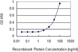 Detection limit for recombinant GST tagged DDOST is 1 ng/ml as a capture antibody. (DDOST 抗体  (AA 328-427))