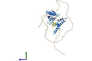 Protein Structure (PS) image for Interaction Protein For Cytohesin Exchange Factors 1 (IPCEF1) (AA 1-406) protein (His tag) (ABIN7557436)