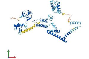 Protein Structure (PS) image for Transcriptional Adaptor 2A (TADA2A) (AA 1-443) protein (His tag) (ABIN7559347)