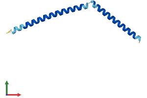 Protein Structure (PS) image for Synaptonemal Complex Central Element Protein 3 (SYCE3) (AA 1-88) protein (His tag) (ABIN7546460)