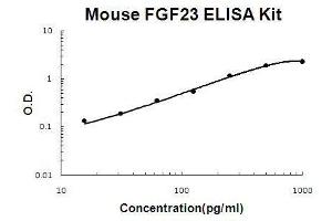Mouse FGF23 PicoKine ELISA Kit standard curve (FGF23 ELISA 试剂盒)