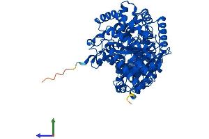 Protein Structure (PS) image for Carnitine O-Octanoyltransferase (CROT) (AA 1-612) protein (His tag) (ABIN7561320)