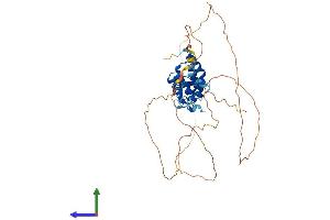 Protein Structure (PS) image for SP110 Nuclear Body Protein (SP110) (AA 1-445) protein (His tag) (ABIN7558931)