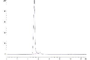 The purity of Human 4-1BB Ligand (Trimer) is greater than 95 % as determined by SEC-HPLC.