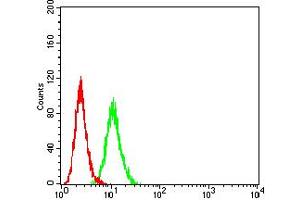 Flow cytometric analysis of HeLa cells using IGHM mouse mAb (green) and negative control (red). (IGHM 抗体  (AA 310-452))