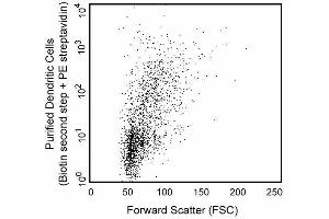 Immunofluorescent staining and flow cytometric analysis of enriched dendritic cells from rat spleen. (Dendritic Cells 抗体)