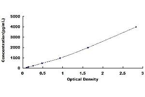 Typical standard curve (Peroxiredoxin 4 ELISA 试剂盒)