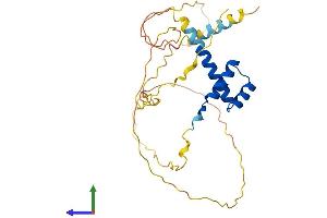 AlphaFold protein structure predicition of Mouse Recombinant Phox2a Protein, UniprotID Q62066