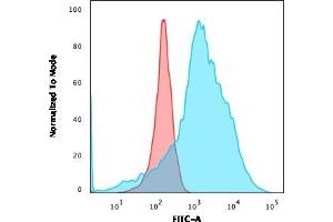 Flow Cytometric Analysis of K562 cells using LMO2 Recombinant Rabbit Monoclonal Antibody (LMO2/3147R) followed by goat anti-rabbit IgG-CF488 (Blue); Isotype Control (Red). (Recombinant LMO2 抗体  (AA 23-140))