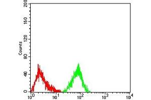 Flow cytometric analysis of HL-60 cells using CD163 mouse mAb (green) and negative control (red). (CD163 抗体  (AA 42-259))