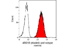Flow Cytometry (FACS) image for anti-AT Rich Interactive Domain 1B (SWI1-Like) (ARID1B) (AA 1425-1475) antibody (ABIN7795694) (Recombinant ARID1B 抗体  (AA 1425-1475))
