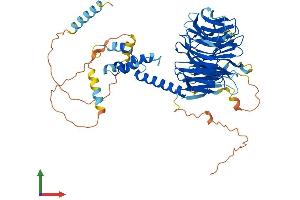 Protein Structure (PS) image for F-Box and WD Repeat Domain Containing 8 (FBXW8) (AA 1-598) protein (His tag) (ABIN7553898)