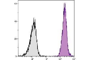 BALB/c mouse splenocytes were stained with Mouse Anti-Mouse H-2Kd/H-2Dd-PE. (H-2Kd/H-2Dd 抗体 (FITC))