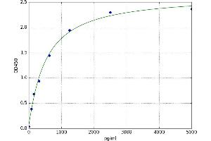 Structural Maintenance of Chromosomes 4 (SMC4) ELISA Kit