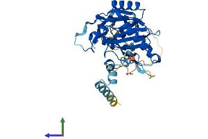 Protein Structure (PS) image for Cell Division Cycle 123 Homolog (CDC123) (AA 1-336) protein (His tag) (ABIN7559374)