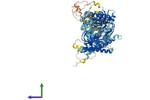 Protein Structure (PS) image for Adenylate Cyclase 4 (ADCY4) (AA 1-1077) protein (His tag) (ABIN7551908)