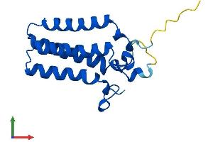 Protein Structure (PS) image for ORM1-Like 3 (ORMDL3) (AA 1-153) protein (His tag) (ABIN7560494)