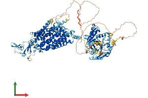 Protein Structure (PS) image for Solute Carrier Family 12 (Potassium-Chloride Transporter) Member 5 (SLC12A5) (AA 1-1139) protein (His tag) (ABIN7555292)