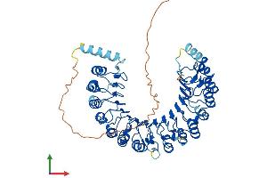 AlphaFold protein structure predicition of Human Recombinant LRRC31 Protein, UniprotID Q6UY01 (LRRC31 Protein (AA 1-552) (His tag))