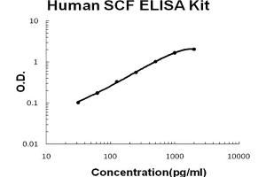 Human SCF Accusignal ELISA Kit Human SCF AccuSignal ELISA Kit standard curve.
