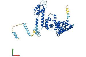 Protein Structure (PS) image for Protein Phosphatase 2, Regulatory Subunit B'', gamma (PPP2R3C) (AA 1-453) protein (His tag) (ABIN7550481)