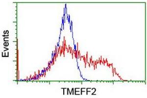 Image no. 2 for anti-Transmembrane Protein with EGF-Like and Two Follistatin-Like Domains 2 (TMEFF2) antibody (ABIN1501418) (TMEFF2 抗体)
