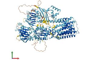Protein Structure (PS) image for ATPase Type 13A2 (ATP13A2) (AA 1-1169) protein (His tag) (ABIN7564945)