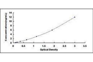 Typical standard curve (Angiopoietin 2 ELISA 试剂盒)