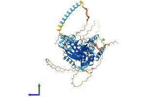 Protein Structure (PS) image for Chromosome 4 Open Reading Frame 14 (C4orf14) (AA 1-698) protein (His tag) (ABIN7549892)