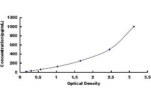 Typical standard curve (BMP2 ELISA 试剂盒)