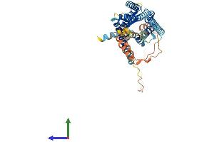AlphaFold protein structure predicition of Mouse Recombinant Npy5r Protein, UniprotID O70342