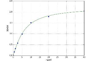 A typical standard curve (TIMP3 ELISA 试剂盒)