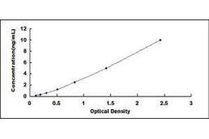 Typical standard curve (MAX ELISA 试剂盒)