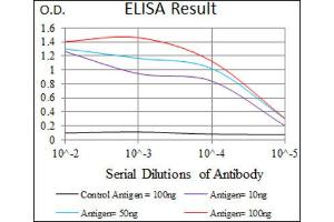 ELISA image for anti-Integrin Alpha2b (CD41) (AA 45-149) antibody (ABIN1844101) (Integrin Alpha2b 抗体  (AA 45-149))