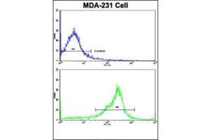 Flow Cytometry (FACS) image for anti-serpin Peptidase Inhibitor, Clade A (Alpha-1 Antiproteinase, Antitrypsin), Member 9 (SERPINA9) (AA 201-230), (Middle Region) antibody (ABIN954743)
