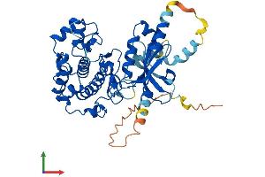 Protein Structure (PS) image for serine/threonine Kinase 32B (STK32B) (AA 1-414) protein (His tag) (ABIN7546473)