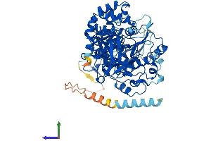 Protein Structure (PS) image for UDP-N-Acetyl-alpha-D-Galactosamine:polypeptide N-Acetylgalactosaminyltransferase-Like 6 (GALNTL6) (AA 1-601) protein (His tag) (ABIN7548015)