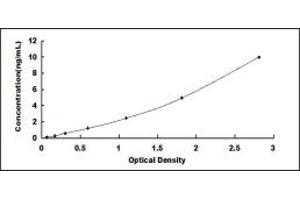 Typical standard curve (TRA2B ELISA 试剂盒)