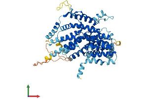 AlphaFold protein structure predicition of Mouse Recombinant Slc13a2 Protein, UniprotID Q9ES88